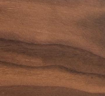 American Black Walnut