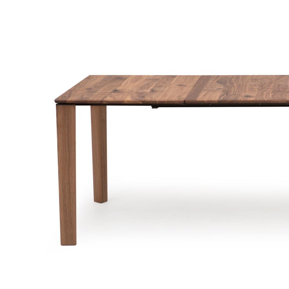 Rodam David r-23 Extending Table