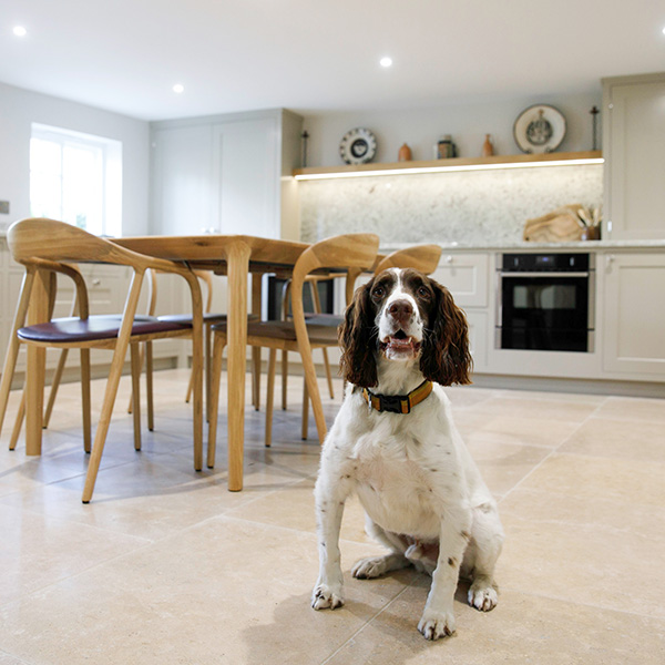 Treske Kitchen with Spaniel
